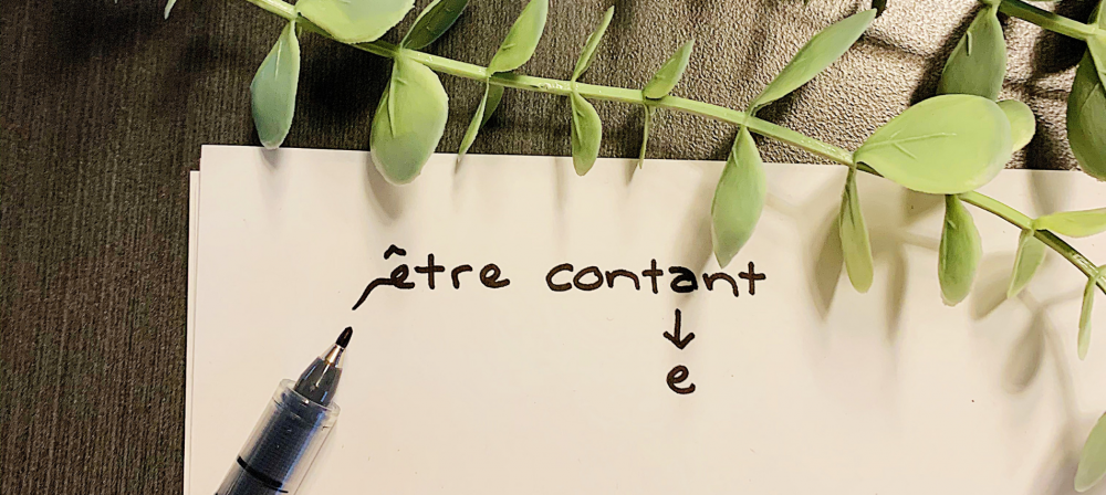 À la recherche d'un réviseur linguistique? Zachary Barde est là pour vous! - Les Zackardises Révision linguistique