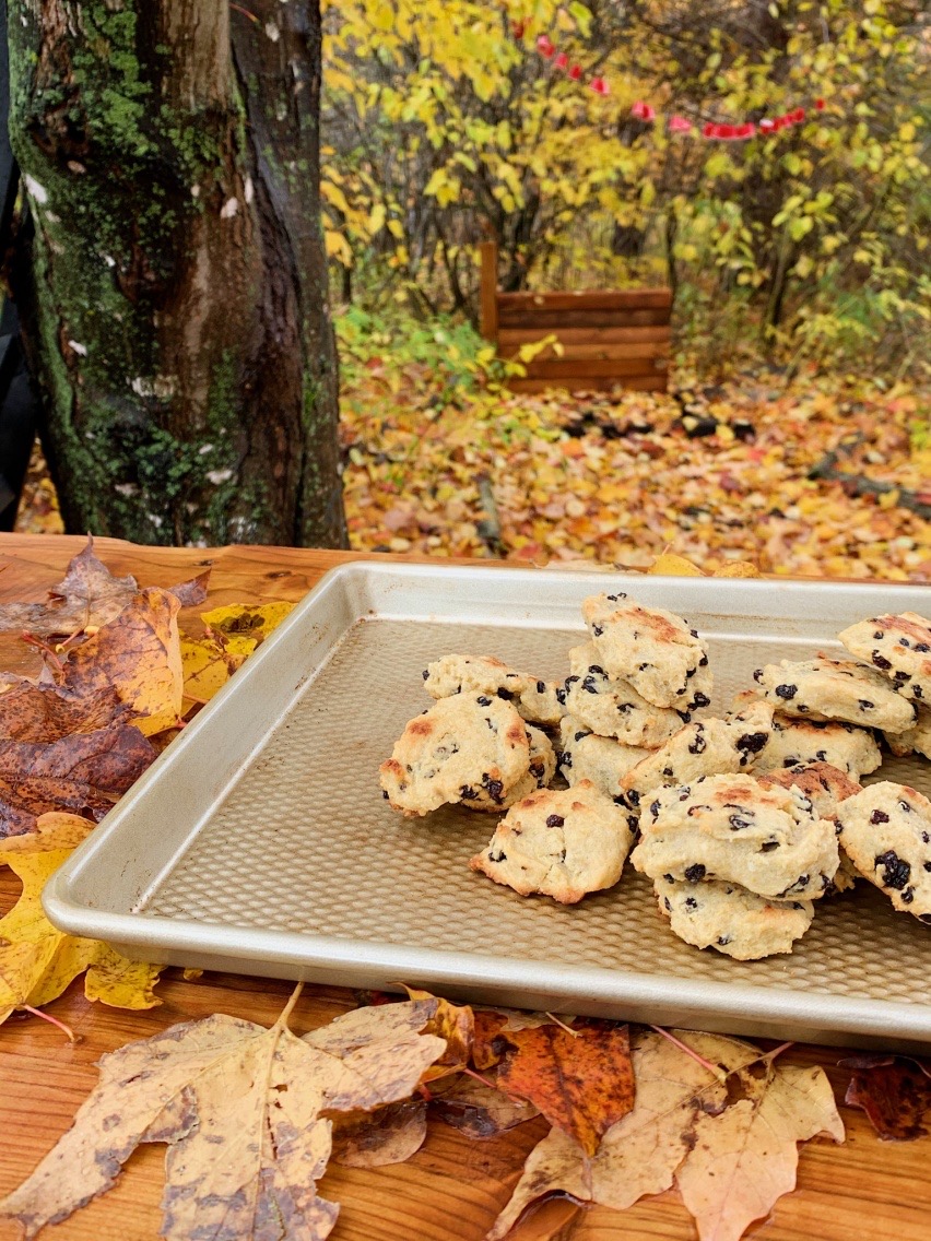 Biscuits au quinoa et raisins secs