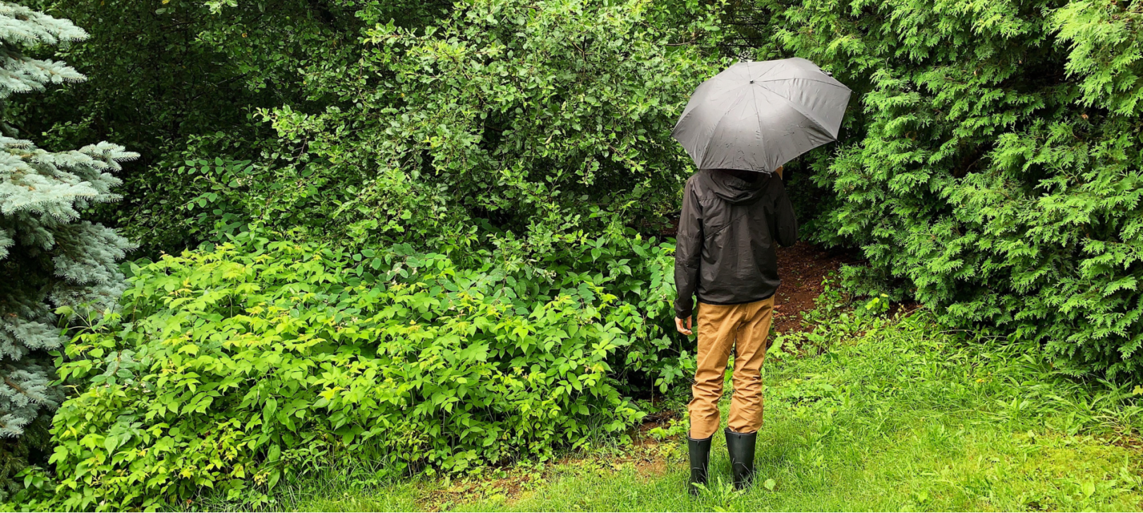 10 recettes pour les jours de pluie / Zachary Barde tient un parapluie