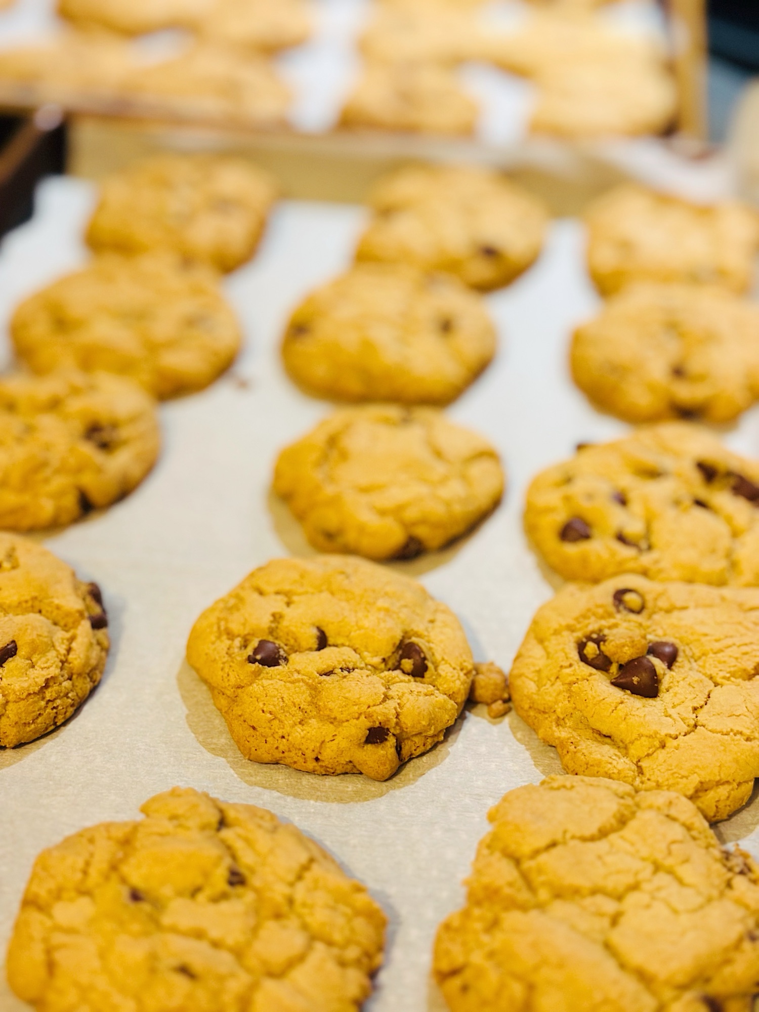 Biscuits aux brisures de chocolat