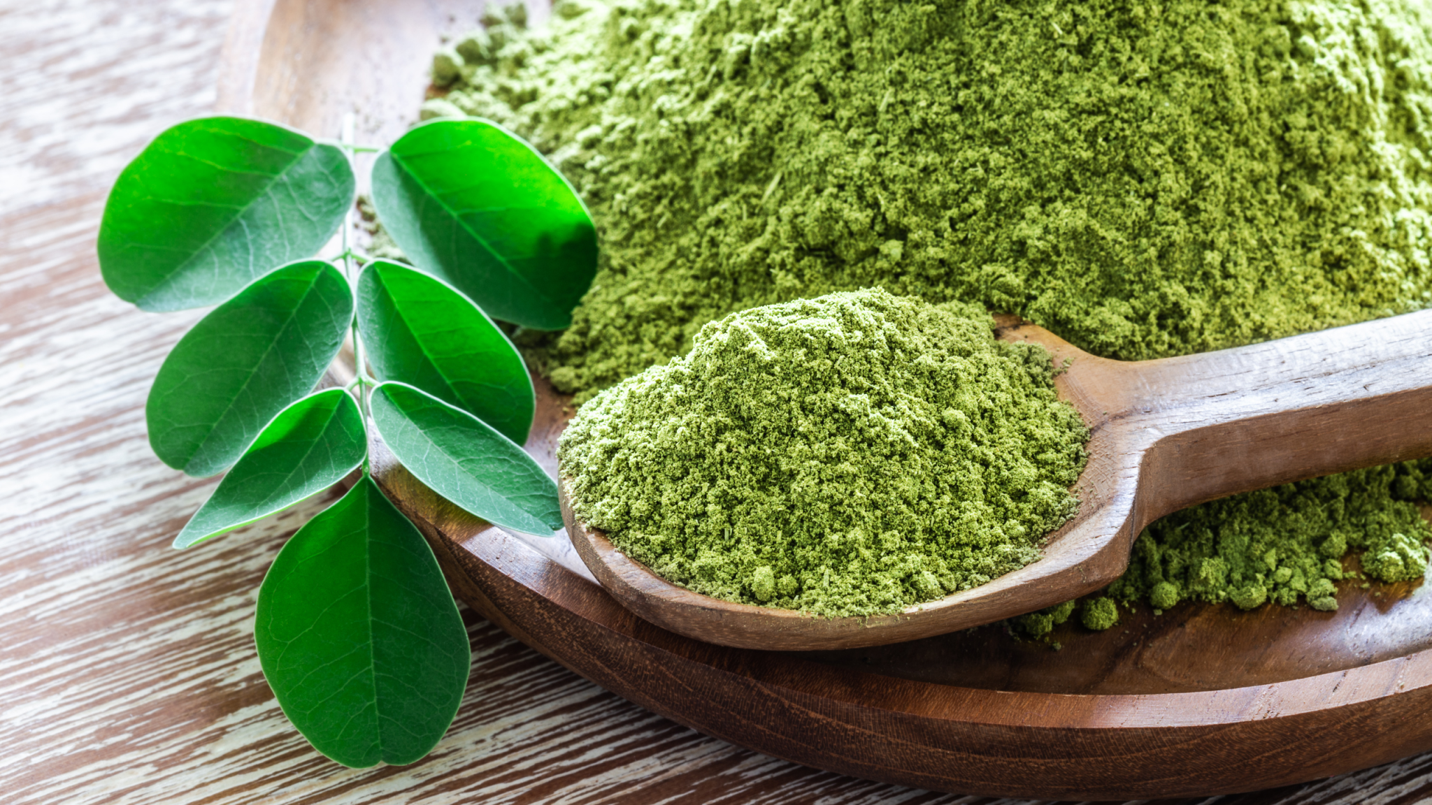 Moringa : Bienfaits et propriétés de l&rsquo;aliment le plus puissant au monde